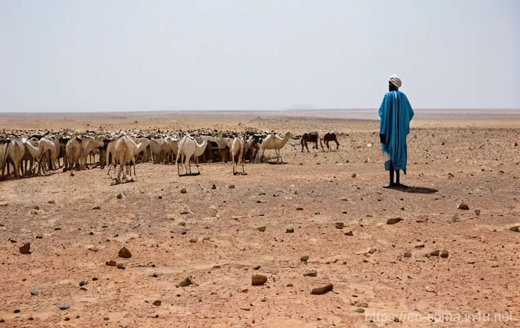 소말리아의 식수 문제 - **Prompt 1: The Daily Trek for Water**
    "A photorealistic image of a Somali mother and her two yo...